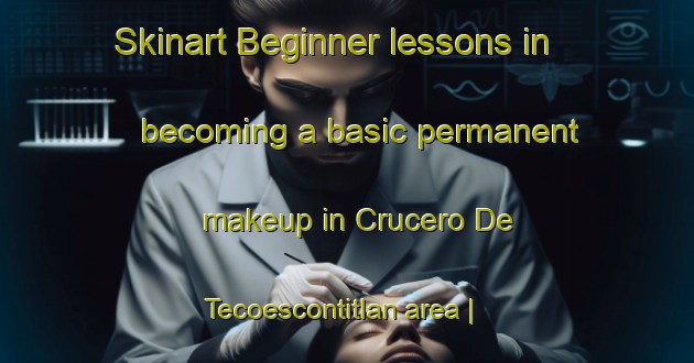 Skinart Beginner lessons in becoming a basic permanent makeup in Crucero De Tecoescontitlan area | PermanentmakeupTraining | PermanentmakeupClasses | SkinartTraining-Mexico